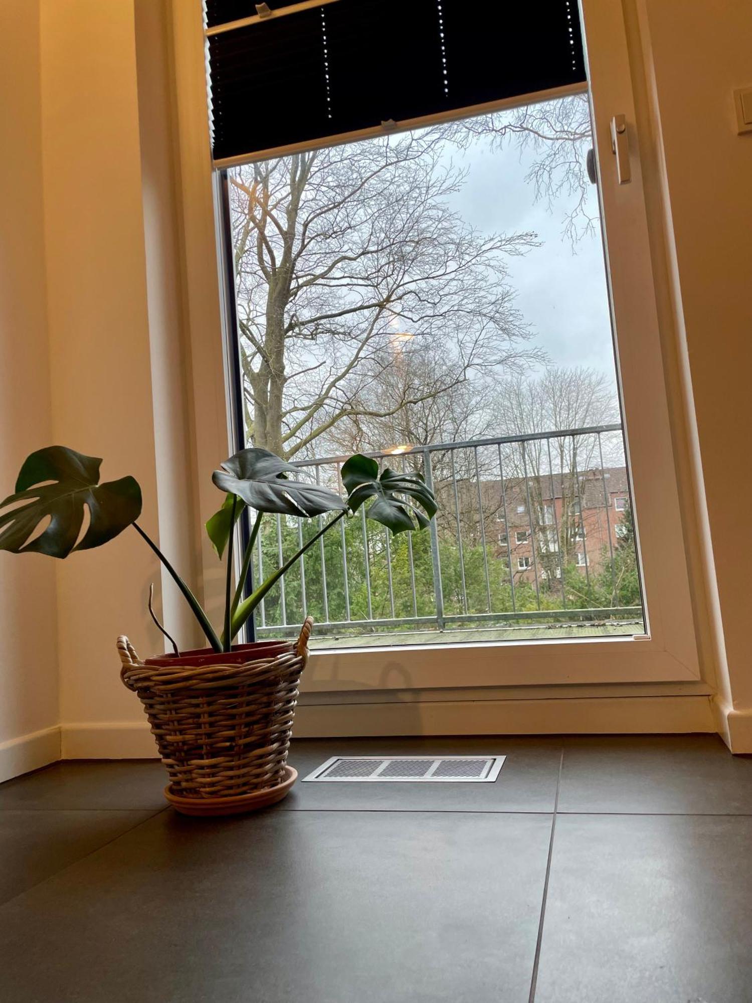 Modernes Holzhaus Im Skandinavischen Stil Mit Sauna, Garten Und 2 Katzen Norderstedt Dış mekan fotoğraf